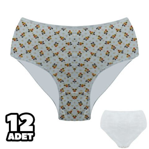 Dondeza 601-37 Desenli Bayan Battal Bato 12’li – Uygun Fiyatlı Kadın Külot
